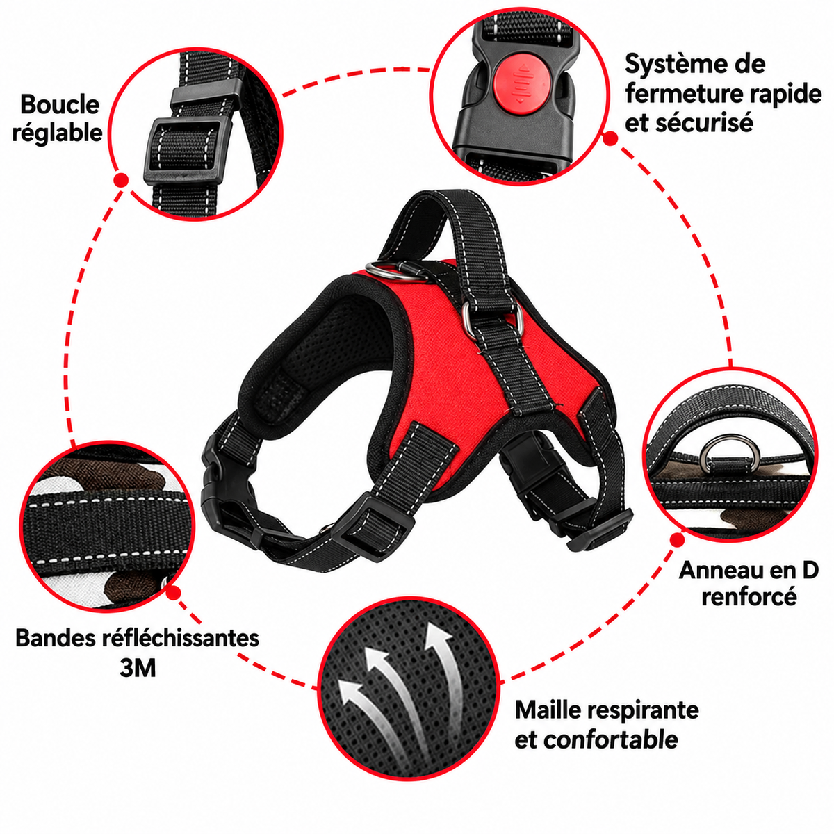 harnais chien anti traction sangle