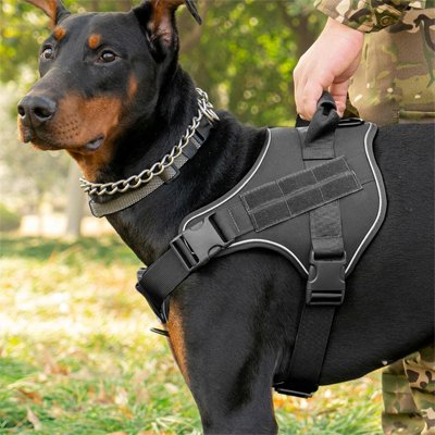 Harnais chien doberman noir