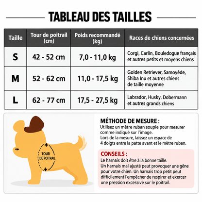 harnais chien tableau