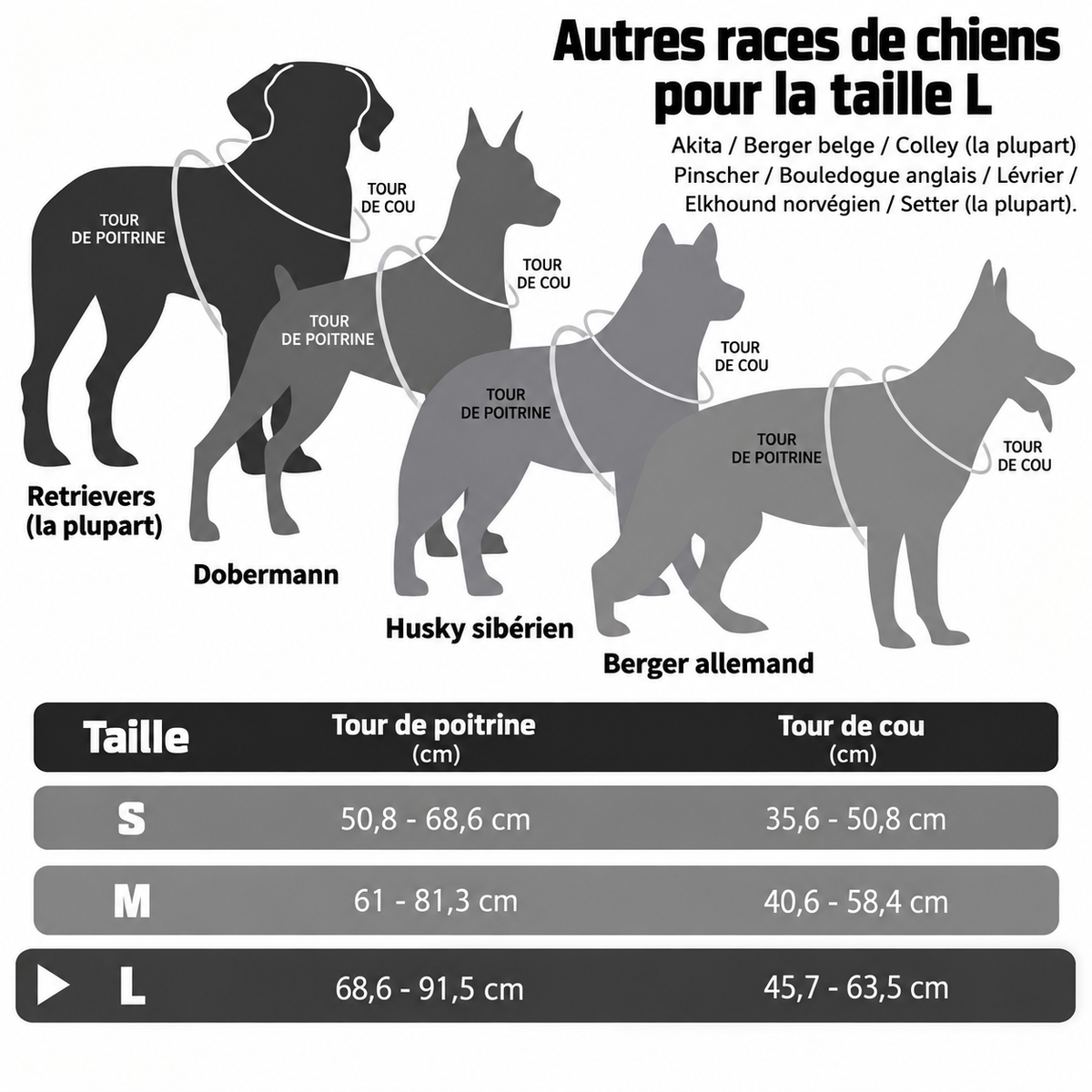 harnais chien trois tailles