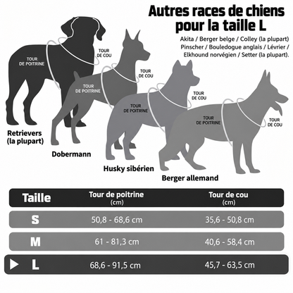 harnais chien trois tailles
