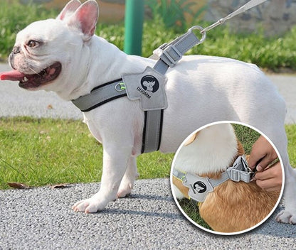 SmoothWalk™ : Le harnais chien anti traction
