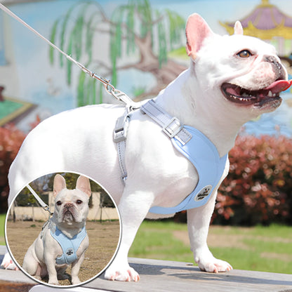 Harnais chien anti traction - FlashyWalk™
