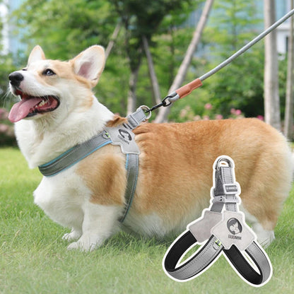 SmoothWalk™ : Le harnais chien anti traction