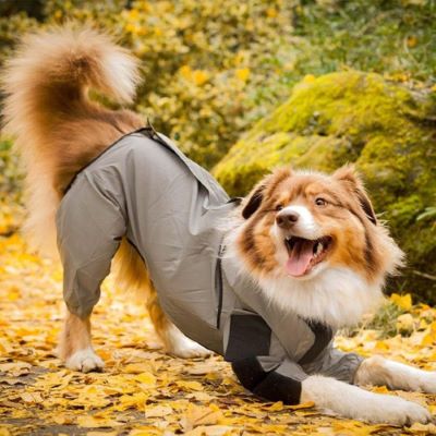 Imperméable pour chien  - SecPromenade™