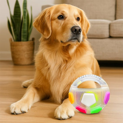 Jouet chien blanc labrador