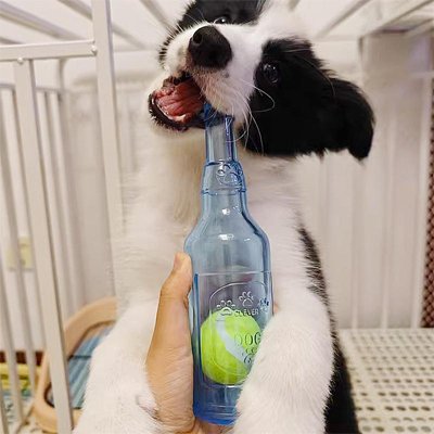Jouet Chien chien qui mordille