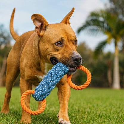 Jouet chien orange bleu