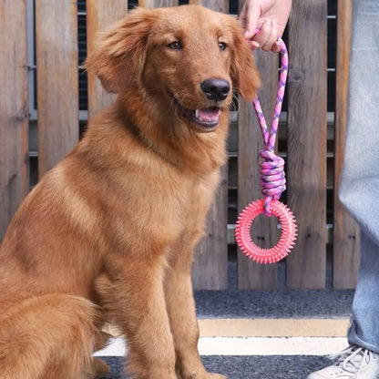 Jouet chien rose golden retriver