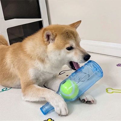 Jouet Chien shiba qui joue