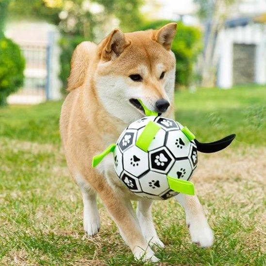 Jouet chien shiba