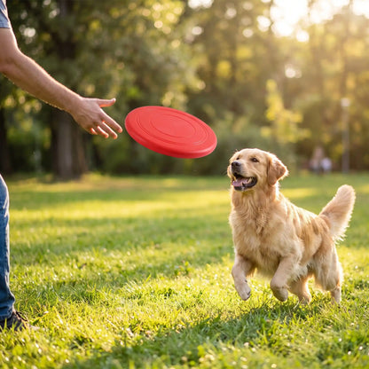 jouet pour chien soucoupe