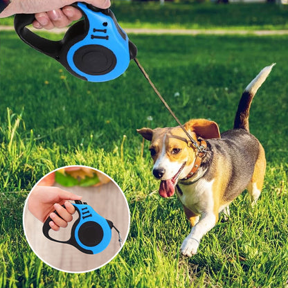 laisse de chien bleu main qui tient la laisse