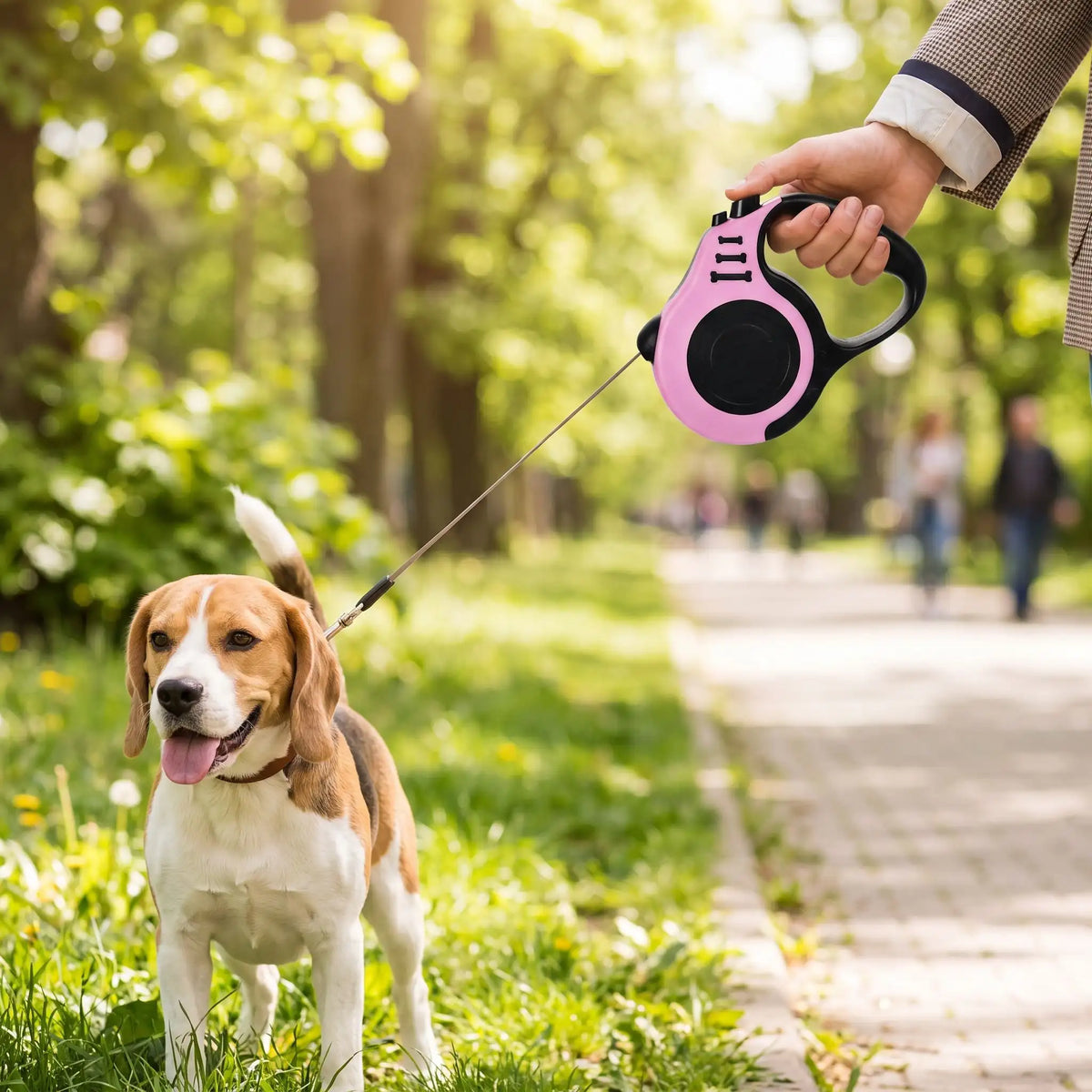 laisse de chien rose