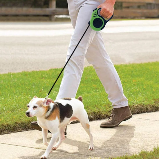 laisse de chien vert