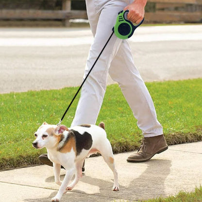 laisse de chien vert