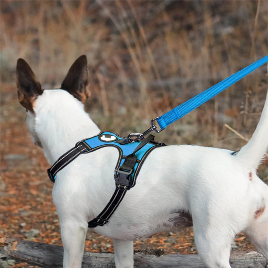La laisse pour chien - DoggyLeash™