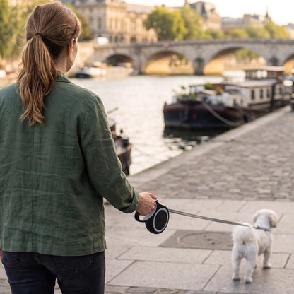 Laisse pour Chien gris