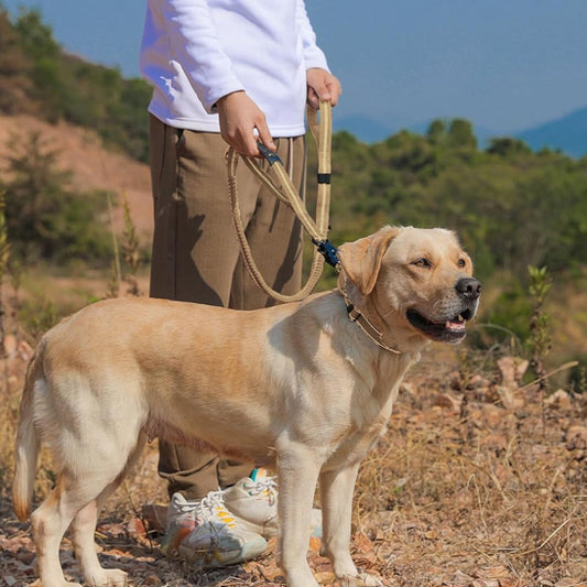 La laisse pour chien - FlexiChien™