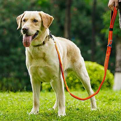 La laisse pour chien - FlexiChien™