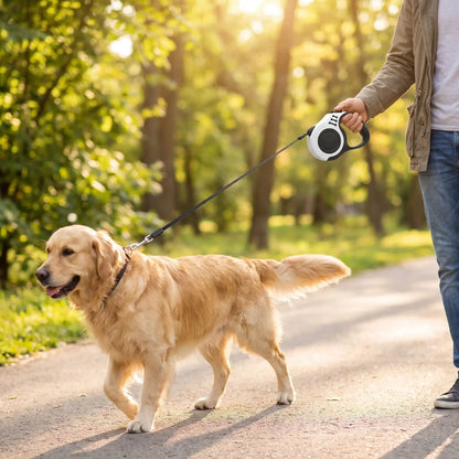 laisse pour chien noir et blanc golden retriver