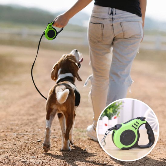 Laisse pour Chien pantalon jeans