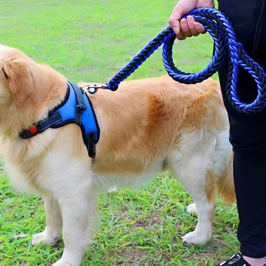Les laisses pour chiens - FlexiPatte™