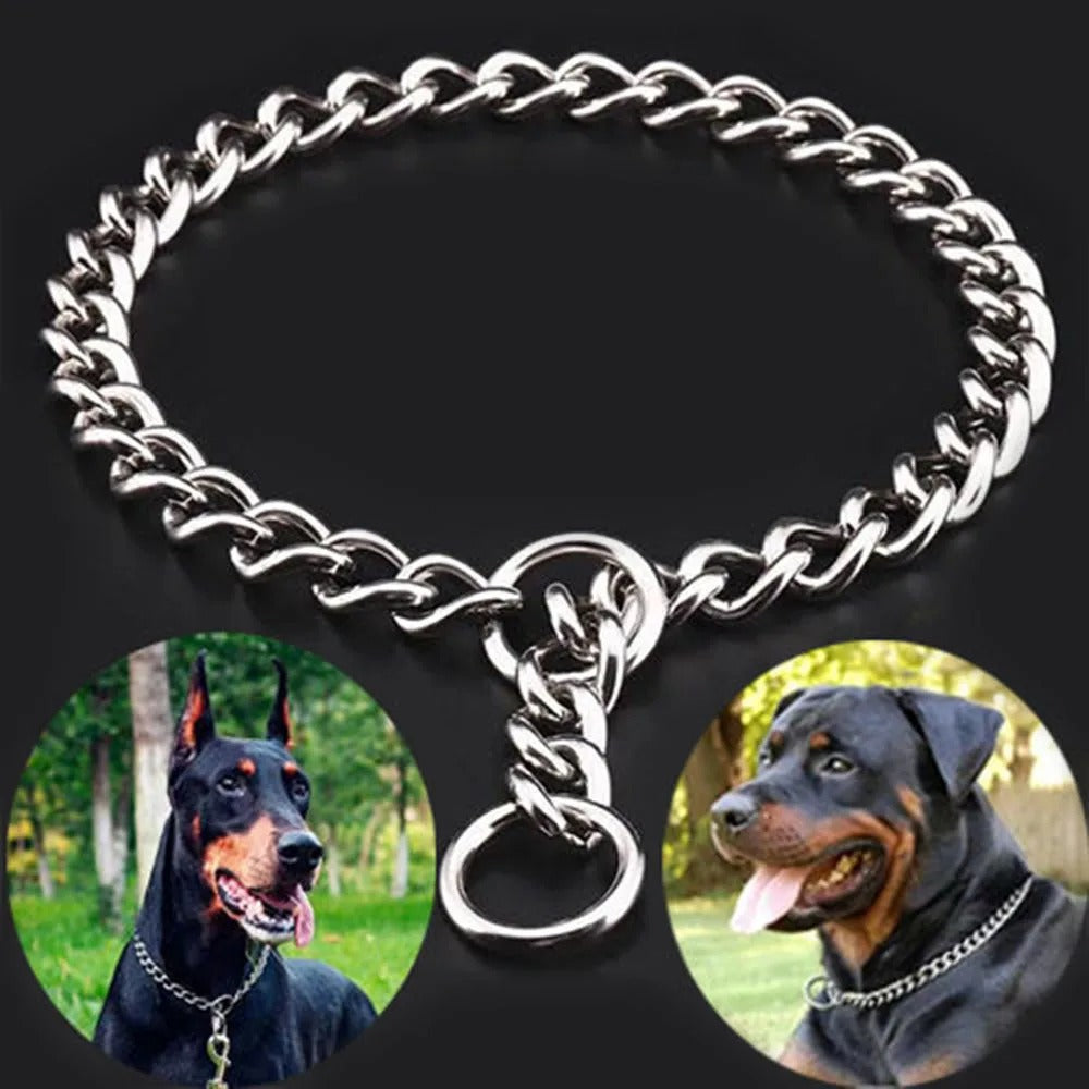 Le collier pour chien - ChainLeash™
