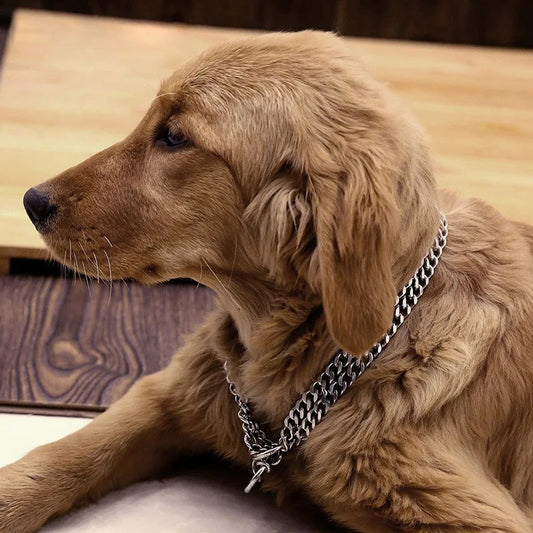 Collier pour chien - ChainDog™