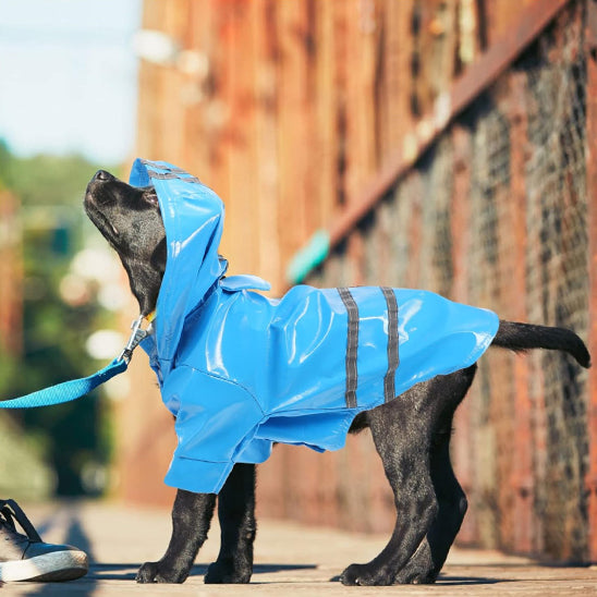 Manteau chien - DogCouv™