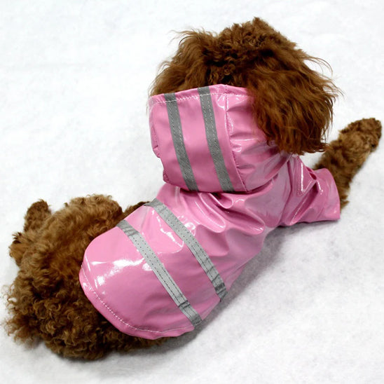 Manteau chien - DogCouv™