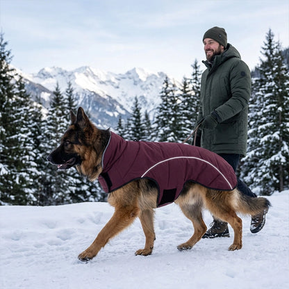 manteau imperméable pour chien hiver