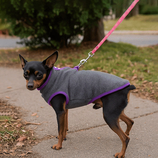 Manteau pour chien - CaniChaud™