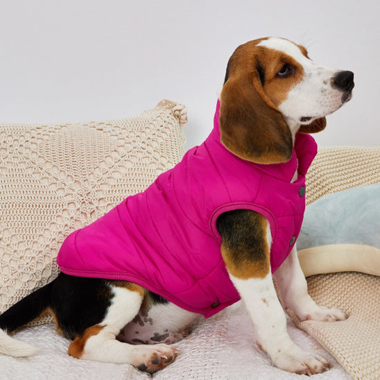 Manteau pour chien - SwagyWoof™