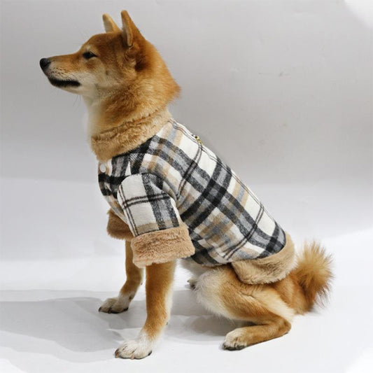 Le manteau pour chien