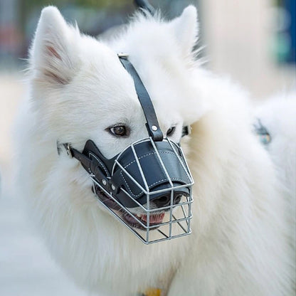 mesulière cage chien blanc