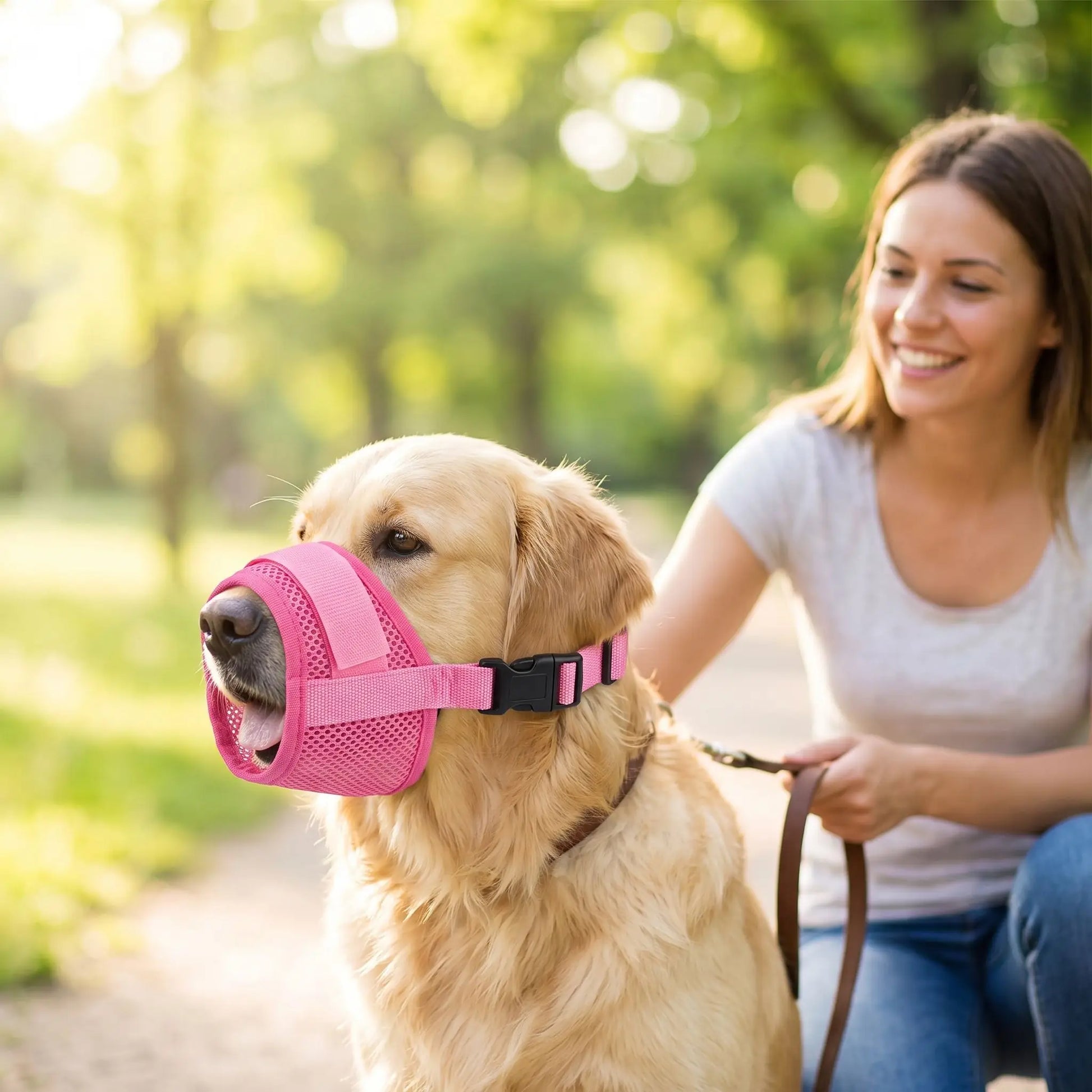 mesulière chien labrador