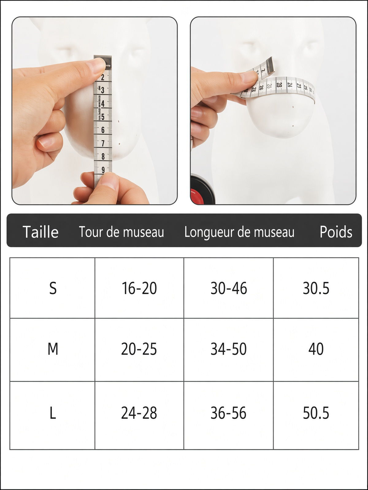 mesulière chien taille