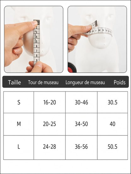 mesulière chien taille