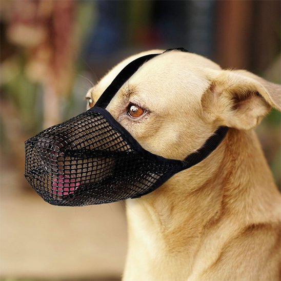 Muselière chien noir