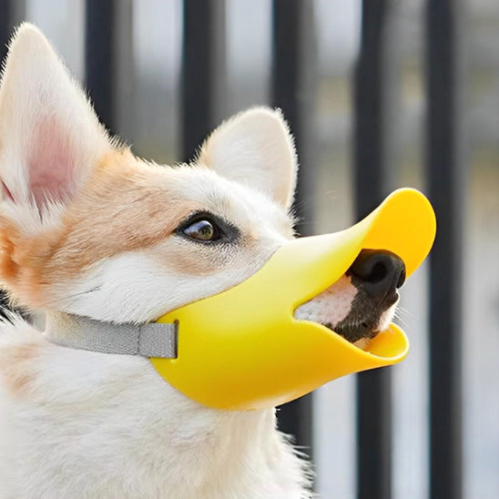 La muselière pour chien - BecGuard™