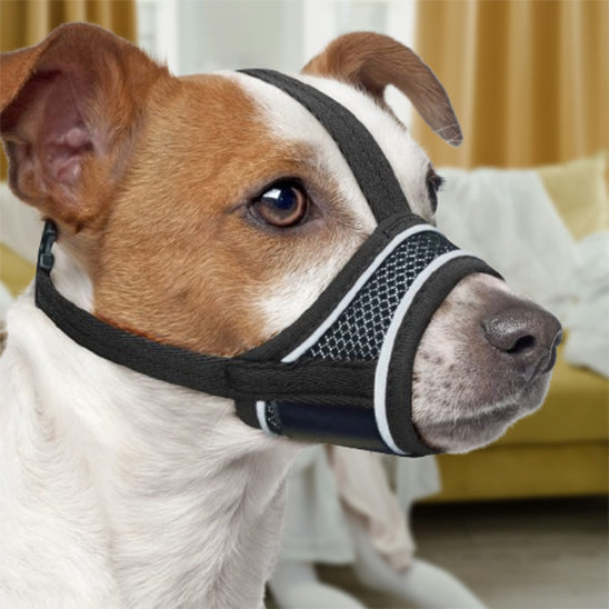 Muselière pour chien - MuzzleGuard™