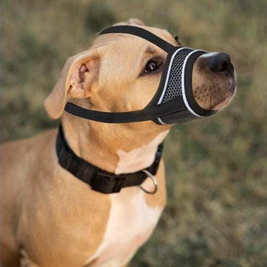 Muselière pour chien - MuzzleGuard™