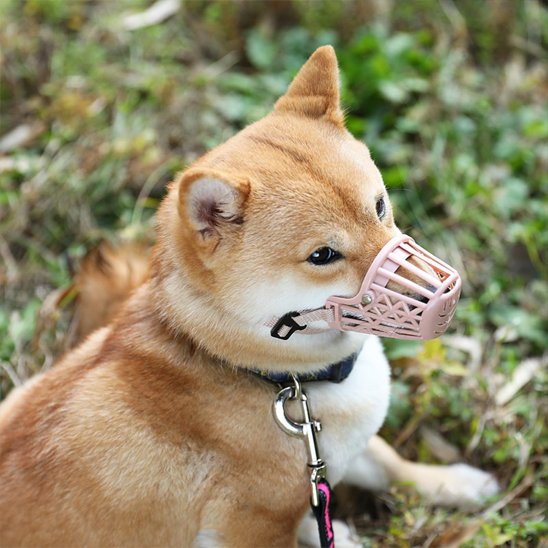 Muselière pour chien shiba inu avec mesulière