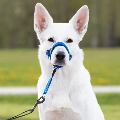 Muselière chien​ grand blanc