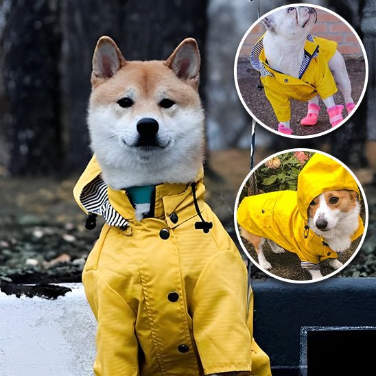 Imperméable pour chien - ImperToutou™