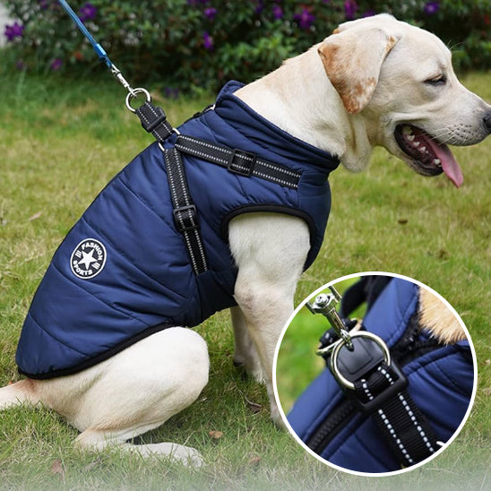 DoggyCoat™ : le manteau pour chien
