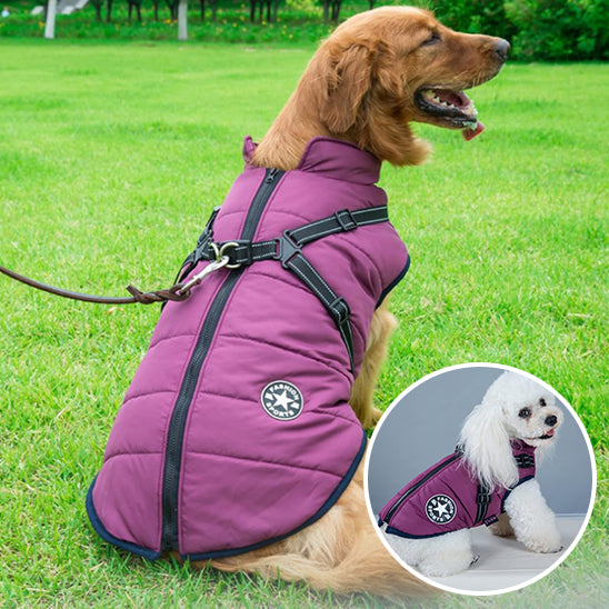 DoggyCoat™ : le manteau pour chien