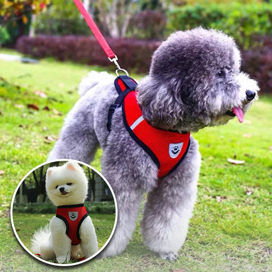 Harnais chien anti traction DogWalk™