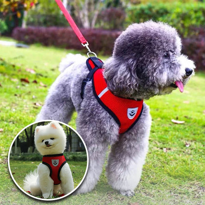 Harnais chien anti traction DogWalk™
